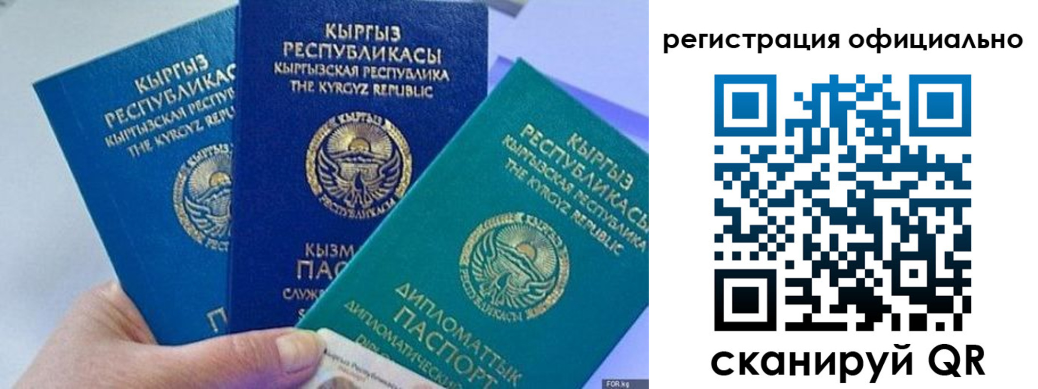 прописка в Щучье